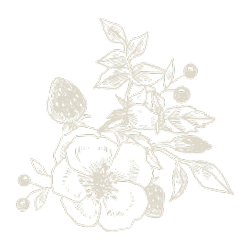 Ilustración de regalo